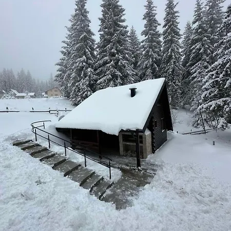 Kuca Za Odmor Planinska Kuca Sp Chalet